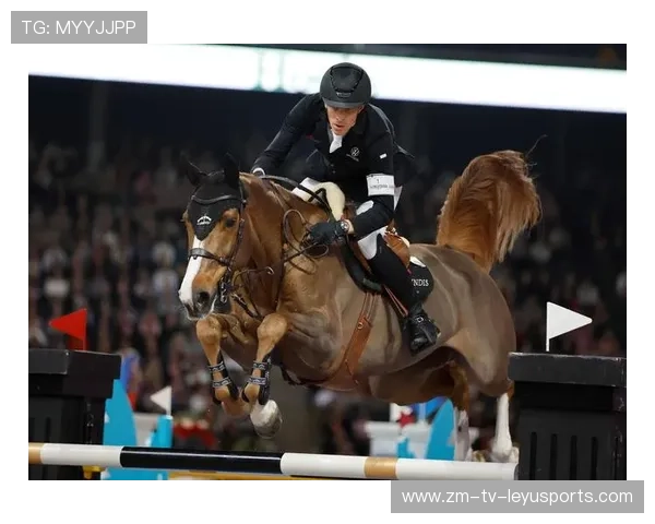 瑞士马术协会出版“Schwingfest”历史专著，记录赛事发展历程。，马术瑞典