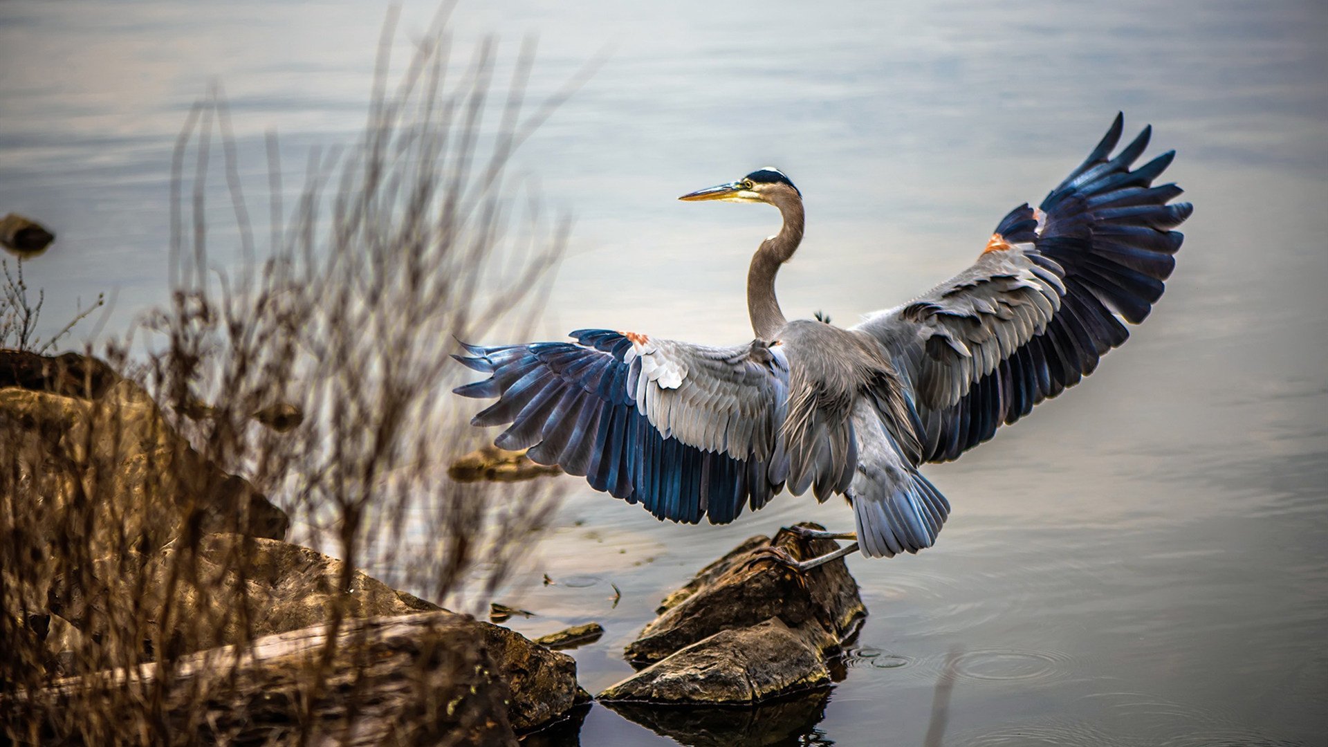 CBA赛季观众参与度持续增长，cba赛季观众参与度持续增长的原因