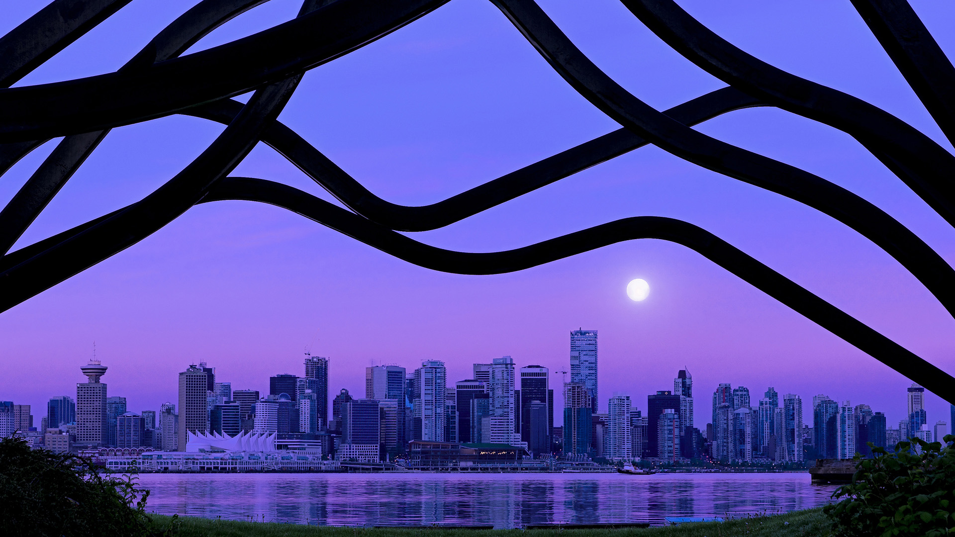 体育新闻中心推动体育新媒体内容融合创新发展，体育类新媒体