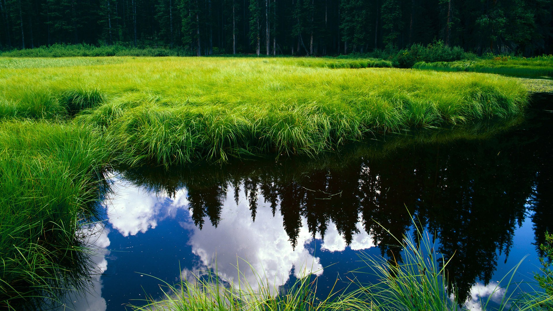 尤文图斯前场压迫制造连续机会，尤文图斯 主场