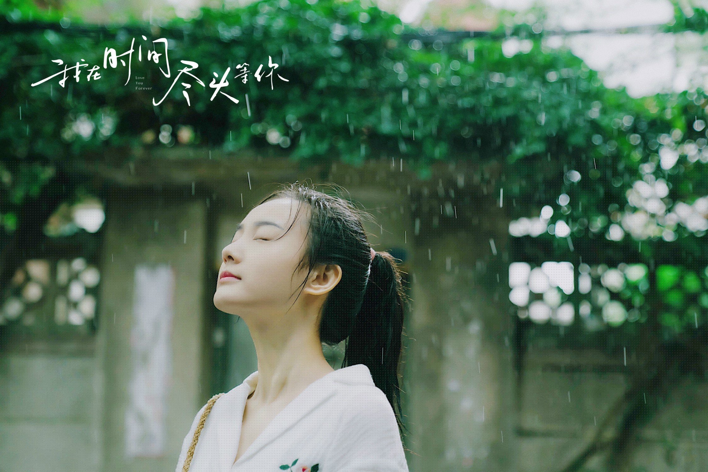 德国队在2024年混合团体世界杯中的强势表现，德国队在2024年混合团体世界杯中的强势表现有哪些