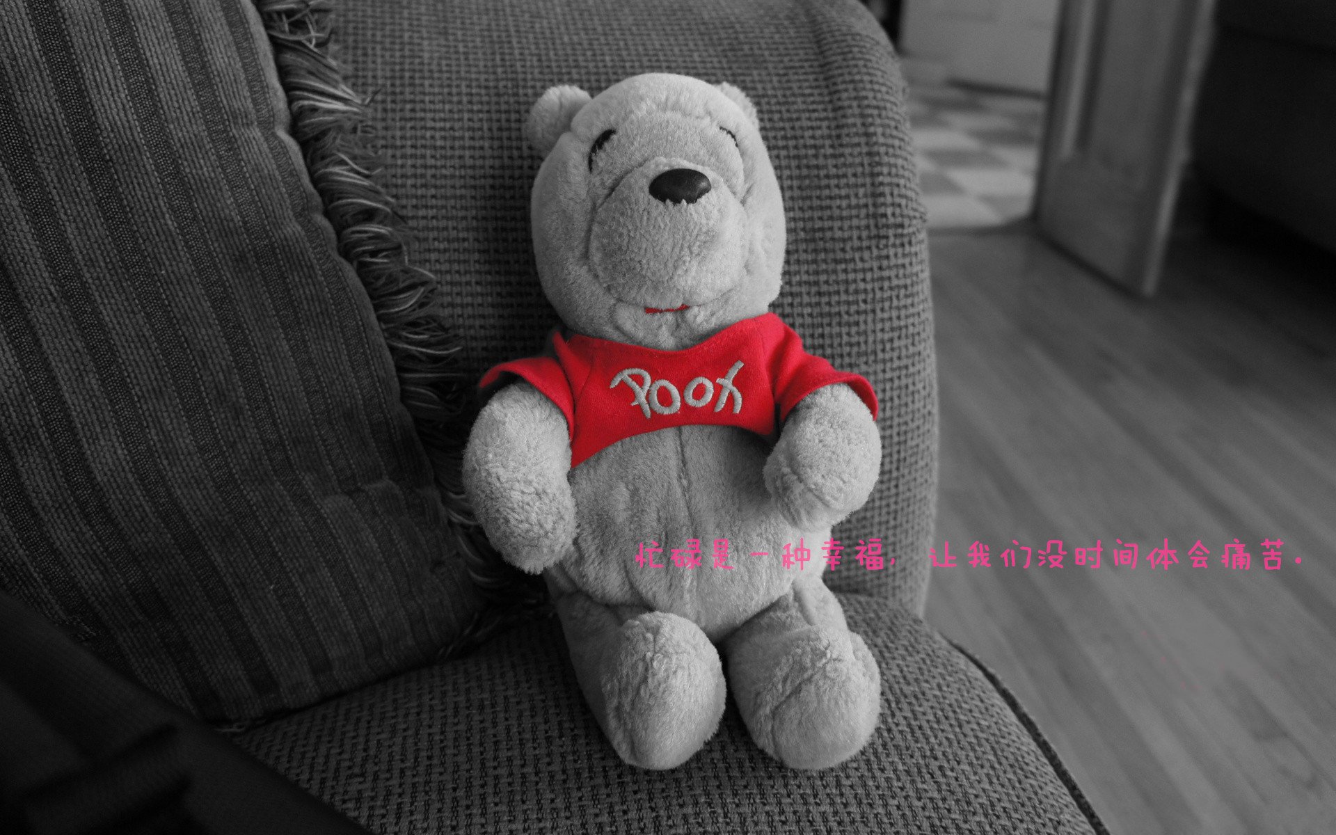 乐鱼体育app下载地址-持续进步中的中立B女队，值得期待