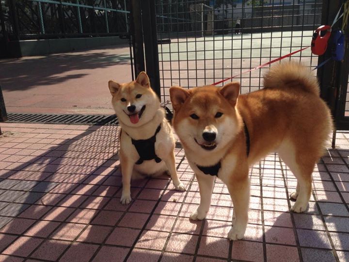 持续进步中的中立B女队,值得期待