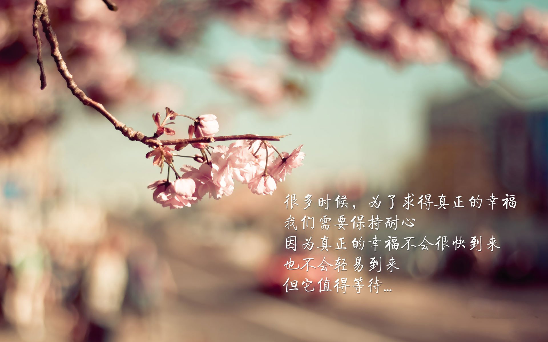 乐鱼体育官网注册-波兰队未来规划：全力推动年轻选手的成长与国际竞争，波兰队情况