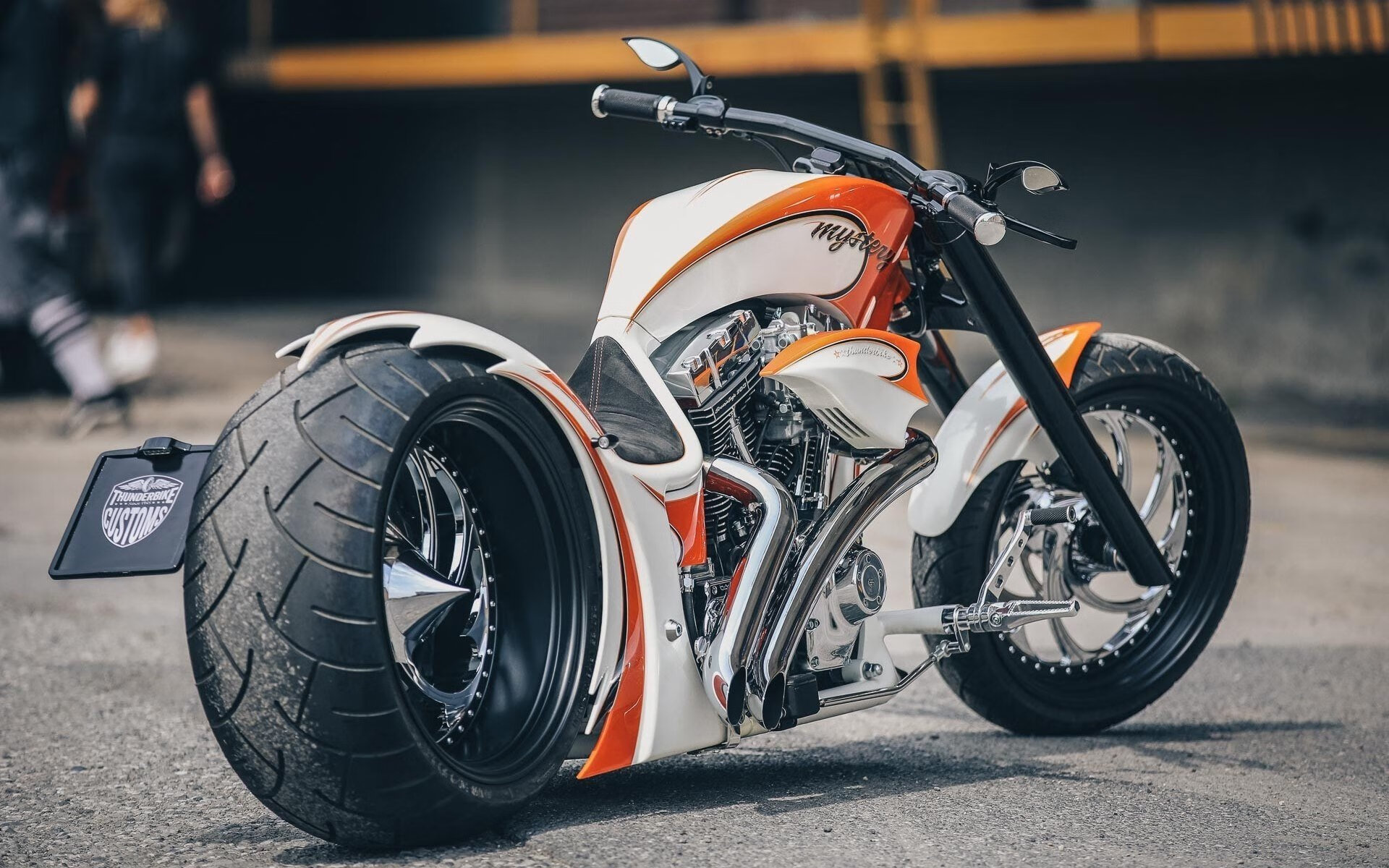 波兰队未来规划:全力推动年轻选手的成长与国际竞争,波兰队情况