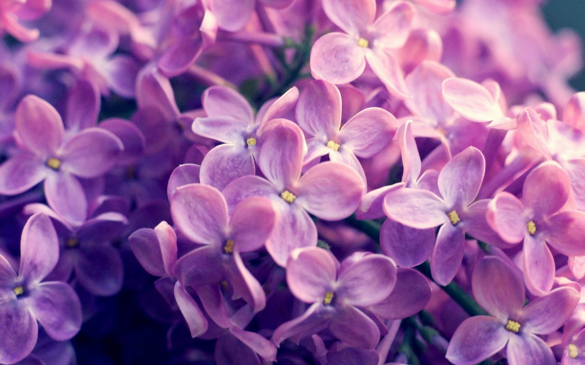 球队在失控局面下是否通过传控恢复信心，球队控制球结束的情况