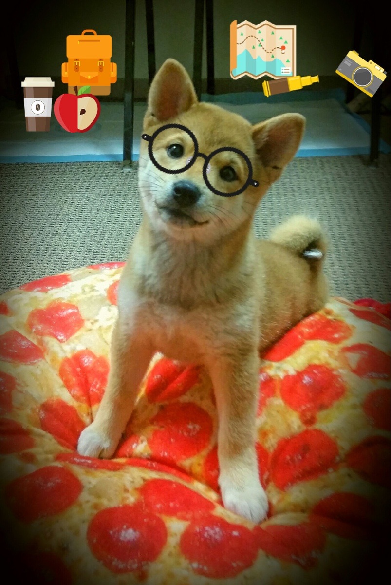 凯尔特人小前锋在训练中完成高难度突破,凯尔特人小后卫