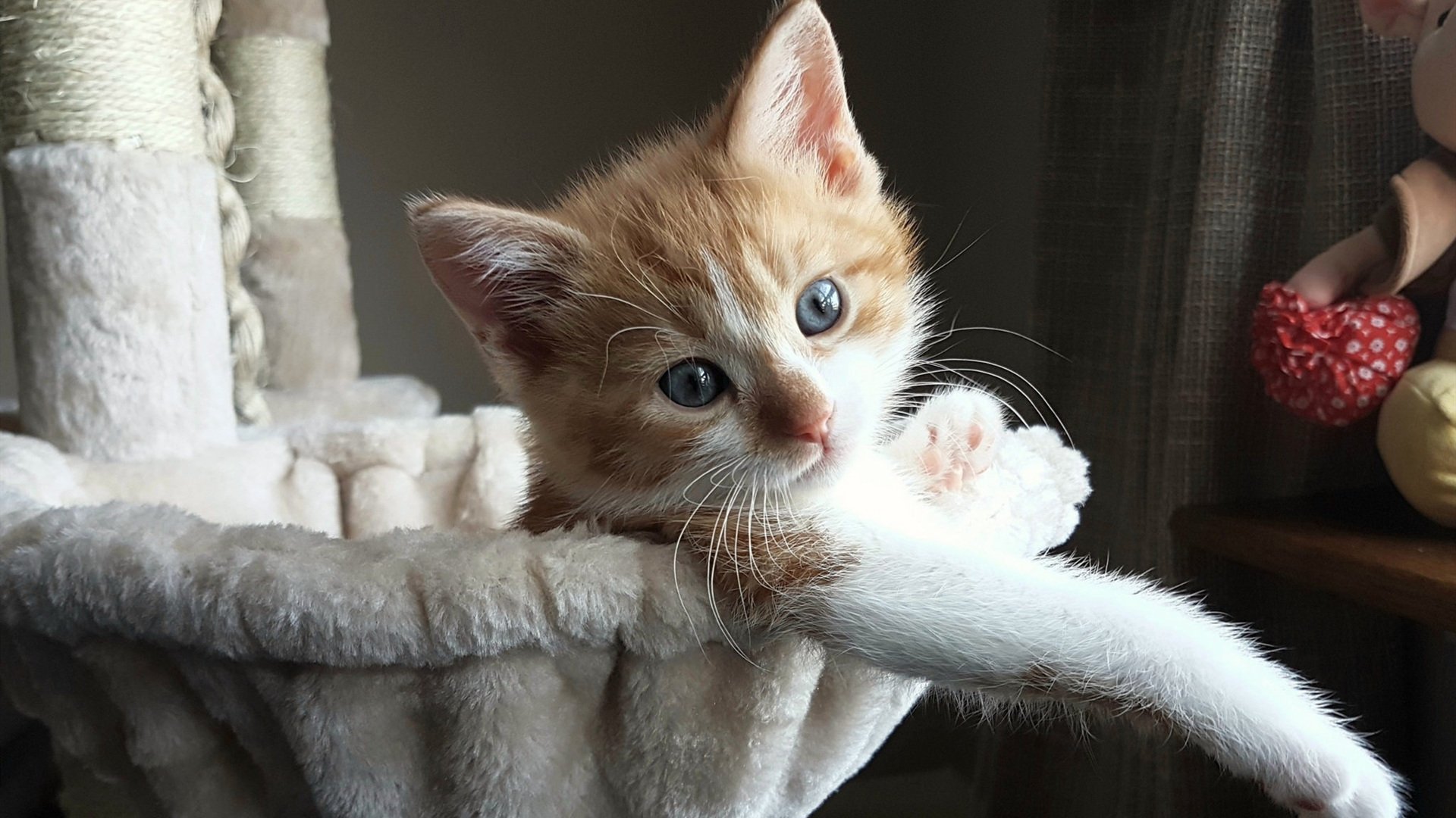 乐鱼体育在线登录-技术雷达图显示团队整体优化趋势，团队能力雷达图