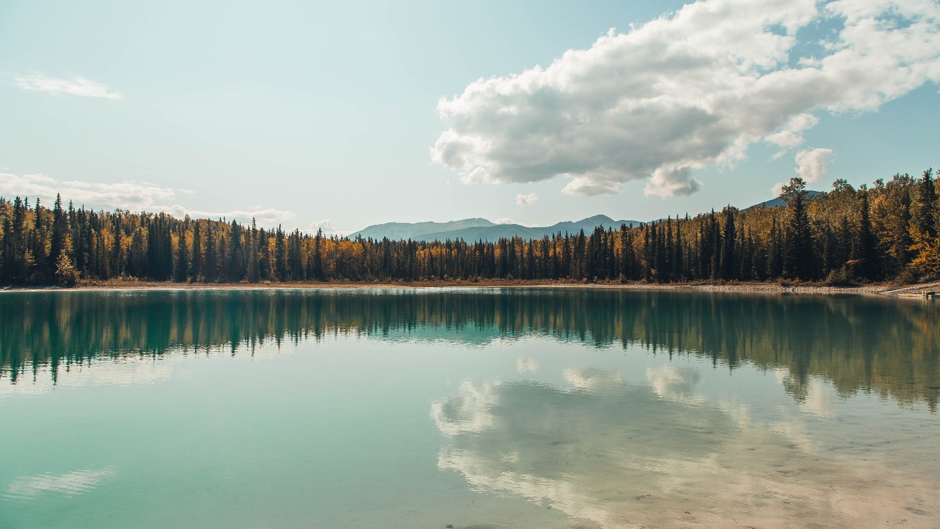 澳大利亚男子4×200米自由泳接力精彩瞬间成焦点，女子4x200米自由泳澳大利亚队